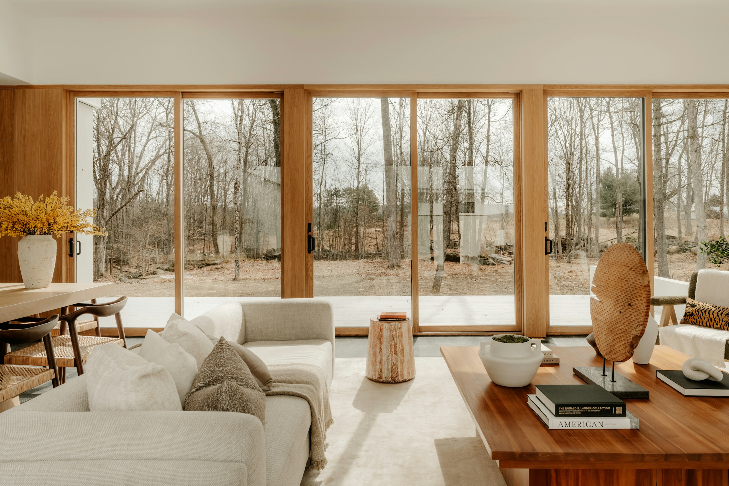 Natural light filling a modern living room with expansive windows
